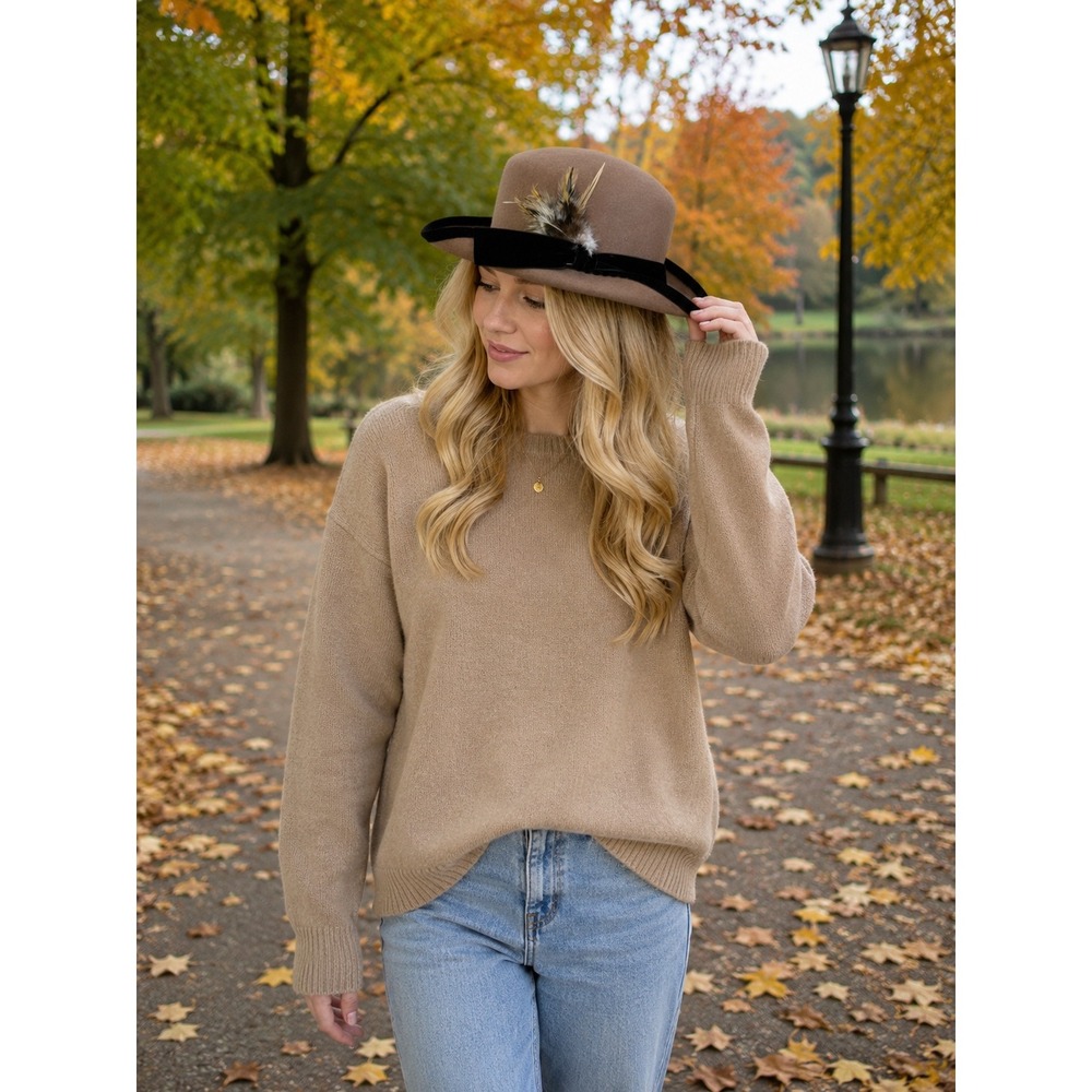 Unbranded Wool Felt Boater Hat Women OS Brown Velvet Ribbon Feather Trim